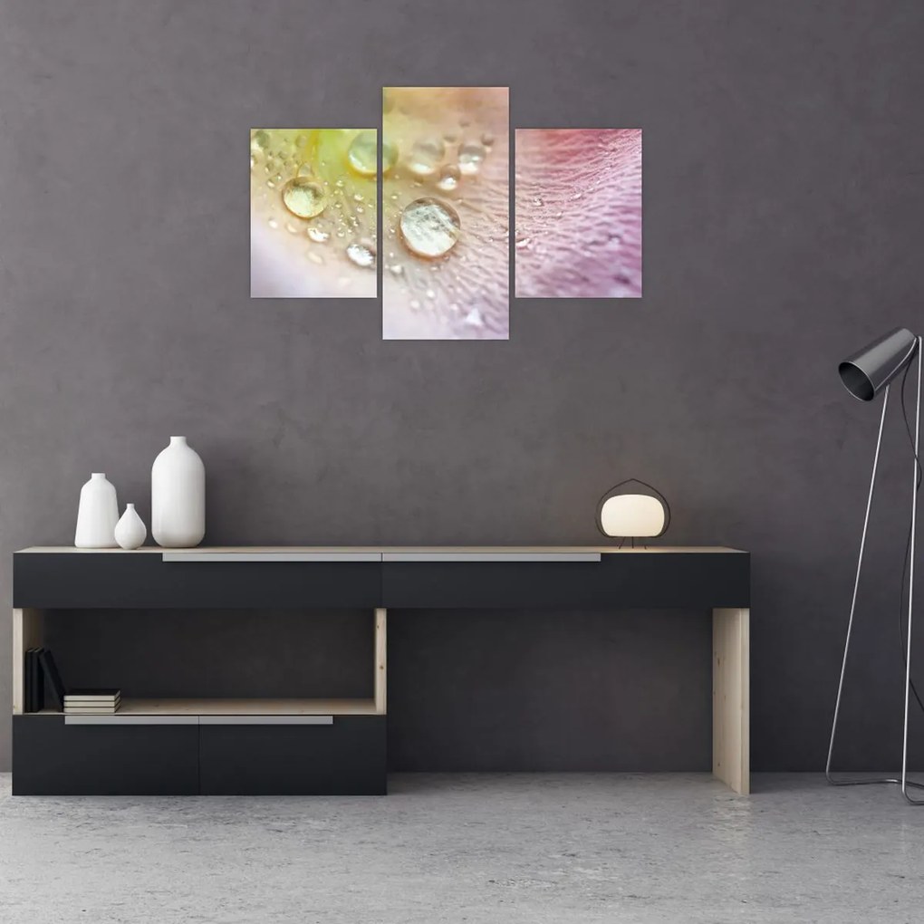Kép - Harmatcseppek (90x60 cm)