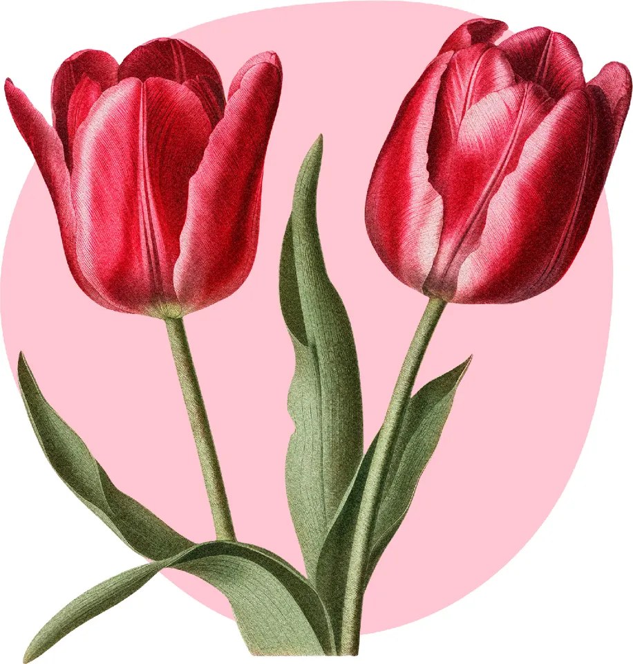 PIPPER. Textil falmatrica "Tulipánok"