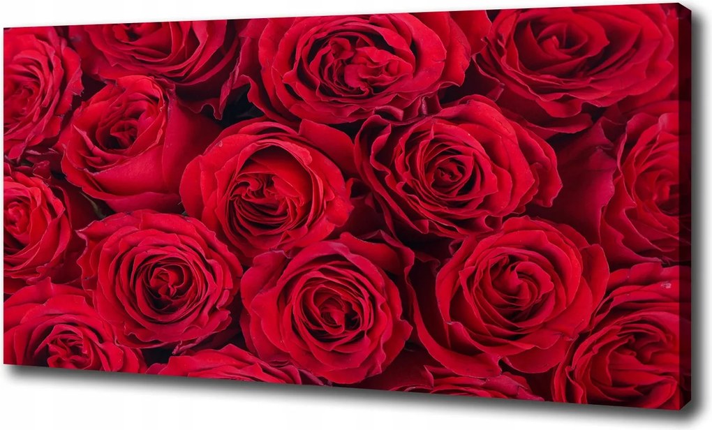 Vászonkép modern Rózsa 120x60 cm