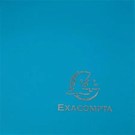 Gumis mappa, PP, A4, EXACOMPTA Opak, zöld (EX55903E)