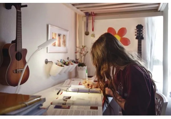 Ledvance - LED Dimmelhető érintős asztali lámpa PANAN LED/5,2W/5V