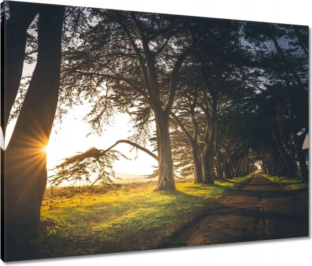 Vászonkép 80x60 Tájkép Látvány