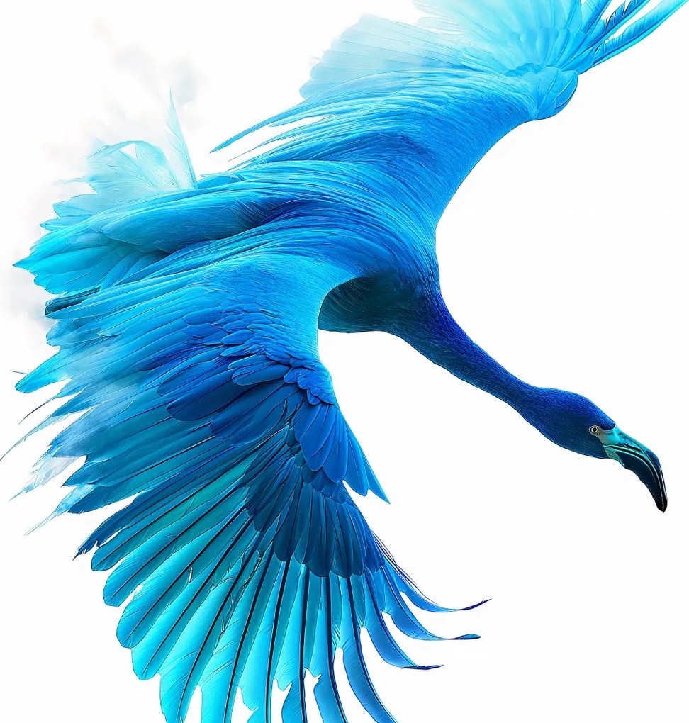 Poszter 80x80cm Kék repülés