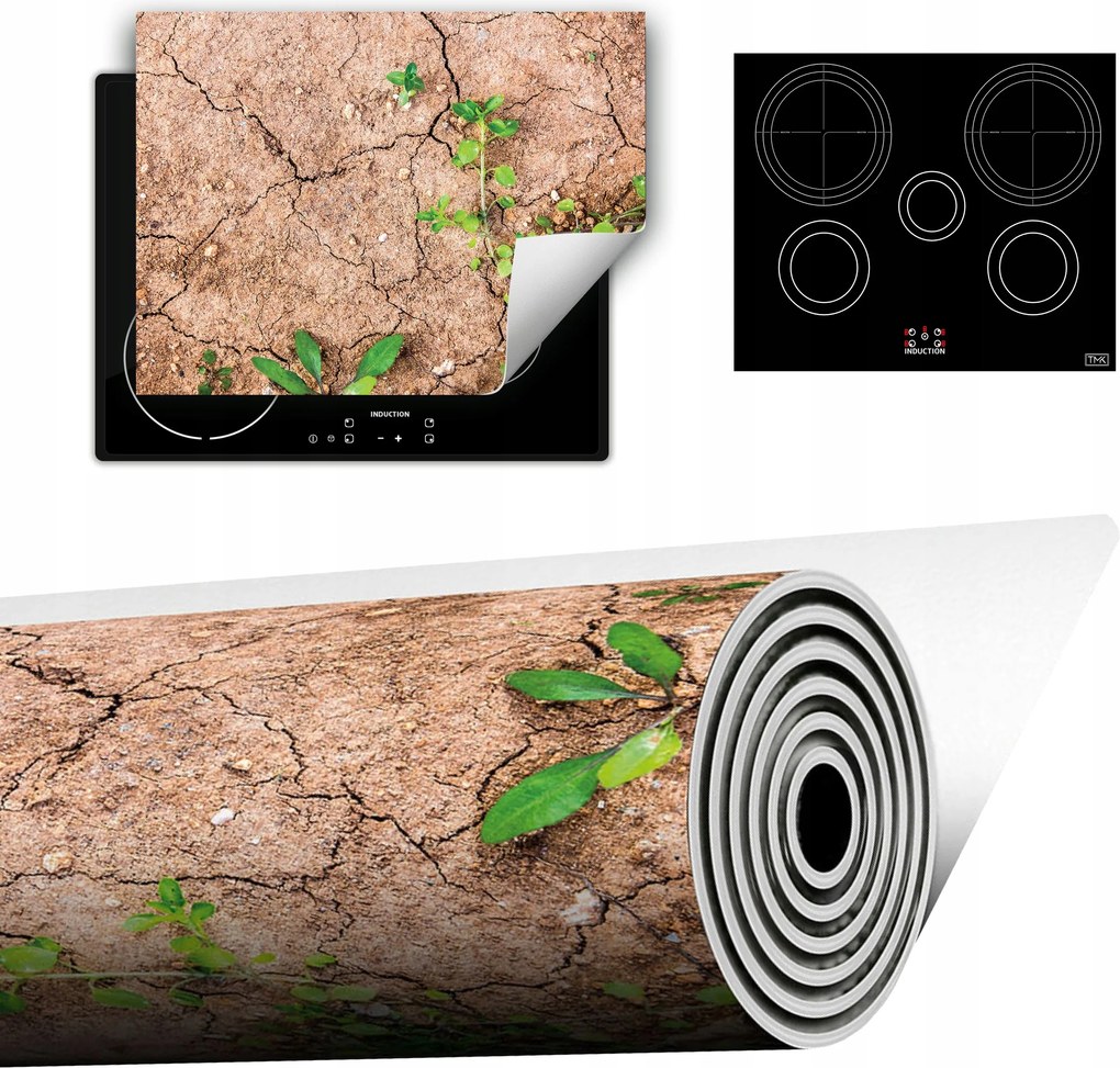 Vinyl Szőnyeg A Konyhába Több Hely 70x52 Ország objektum