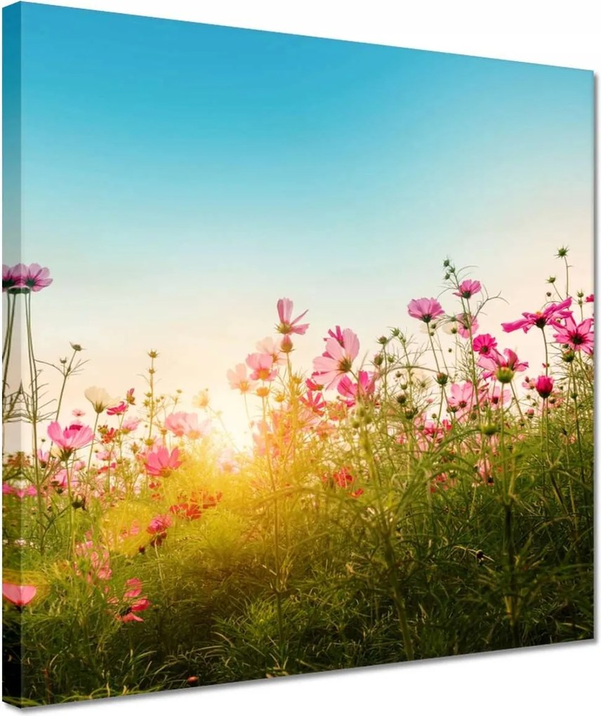 Vászonkép 30x30 Kozmikus virágok