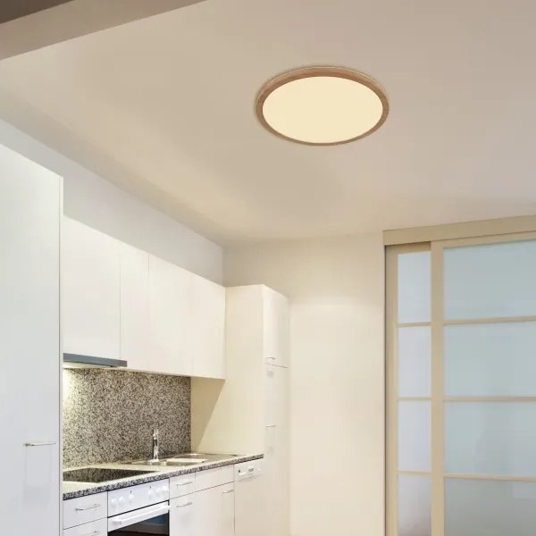 Globo 41562-24WW - LED Dimmelhető fürdőszobai lámpa SAPANA LED/24W/230V IP44