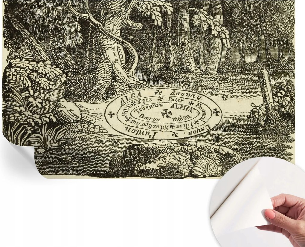 Öntapadós fotótapéta Nappali és Hálószoba Irodába Varázslatos kör 416x254