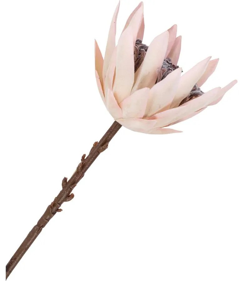 King Protea művirágcsokor
