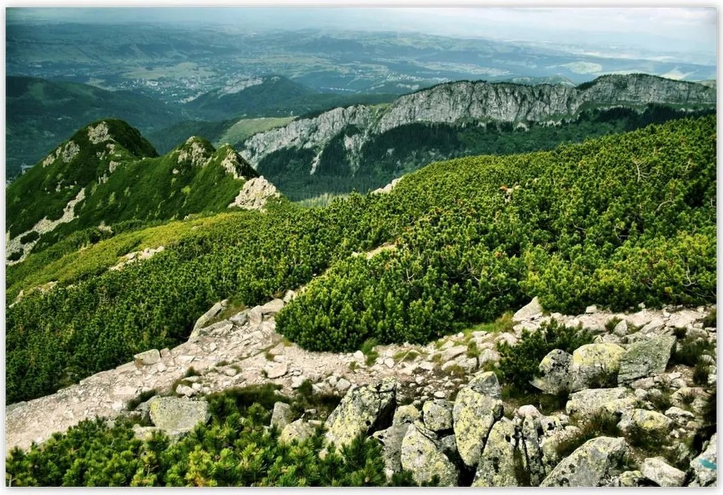 Poszterek 155x105 Tátra Lengyel hegyek Kilátás