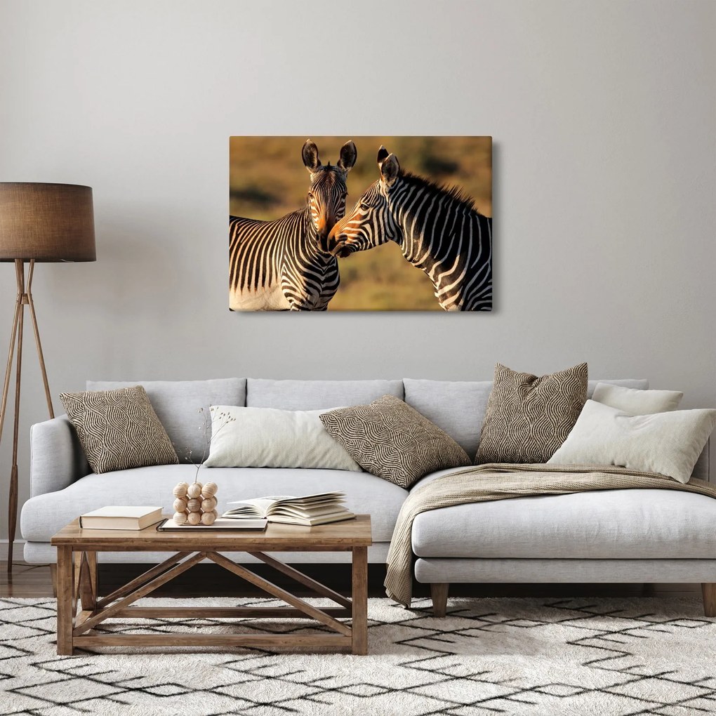 Kép - Két zebra (90x60 cm)