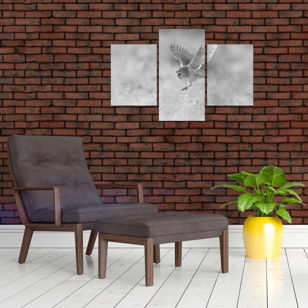 Kép - Bagoly, fekete-fehér (90x60 cm)