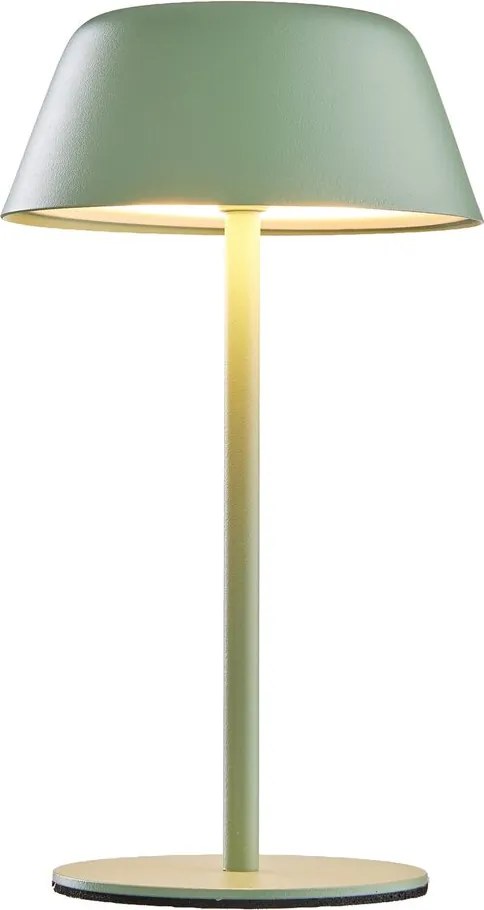 LIGHT UP LED mini asztali lámpa ,zsálya