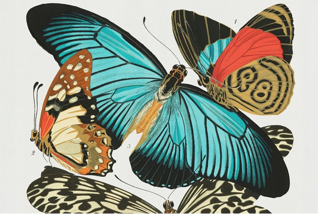 Divatos Flizelin Tapéta Ragasztóval Falra 3D Színes pillangók 104x70 Ragasztó