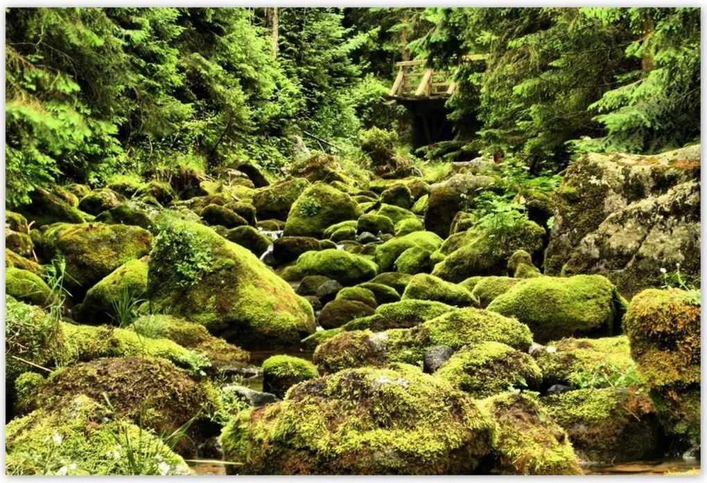 Poszterek 200x135 Tátra Lengyel hegyek Kilátás