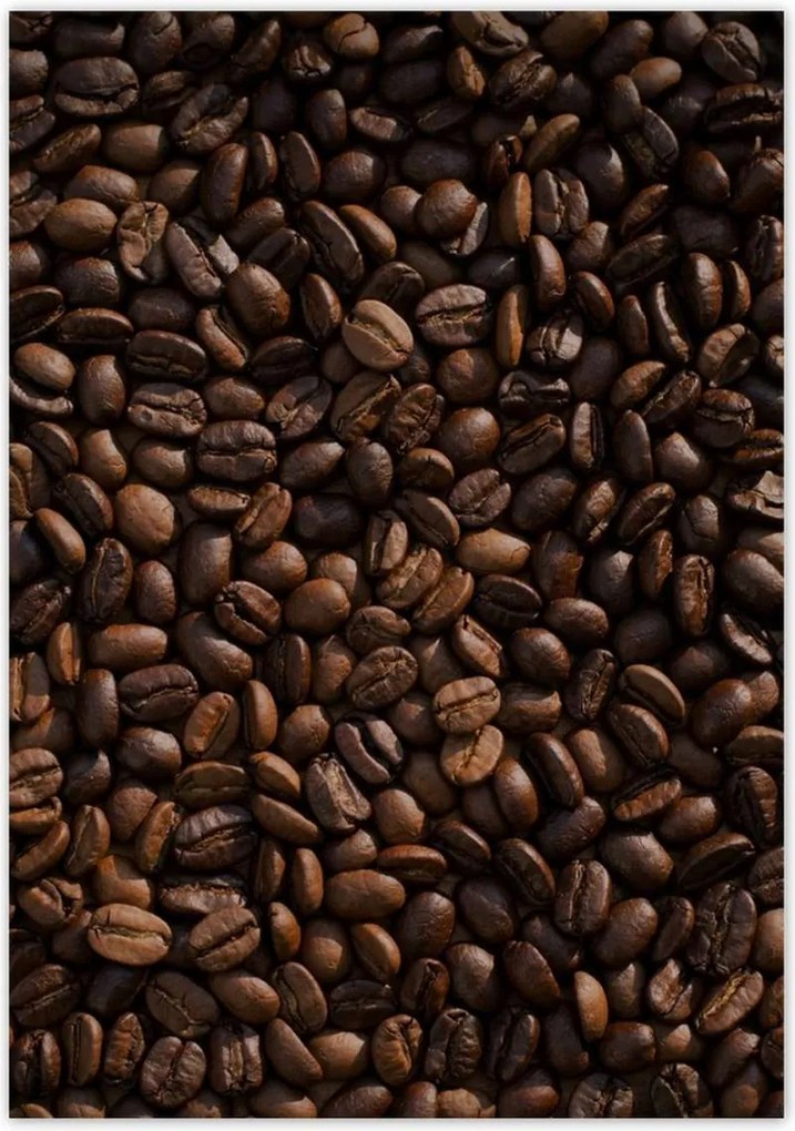 Poszterek 70x100 Pörkölt kávébab