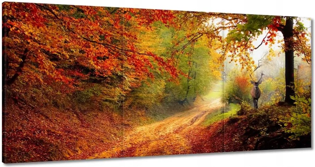 Vászonkép 180x90 Szarvas az erdőben