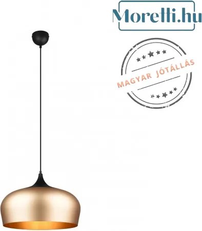 TRIO 310890108 CHIRON Egyágú Függesztett Lámpa Fém LED IP20