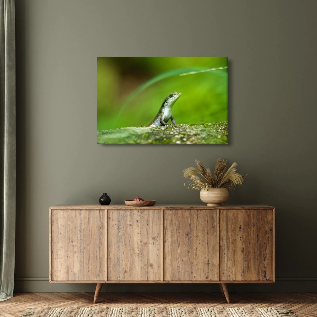 Gyíkok képe (90x60 cm)