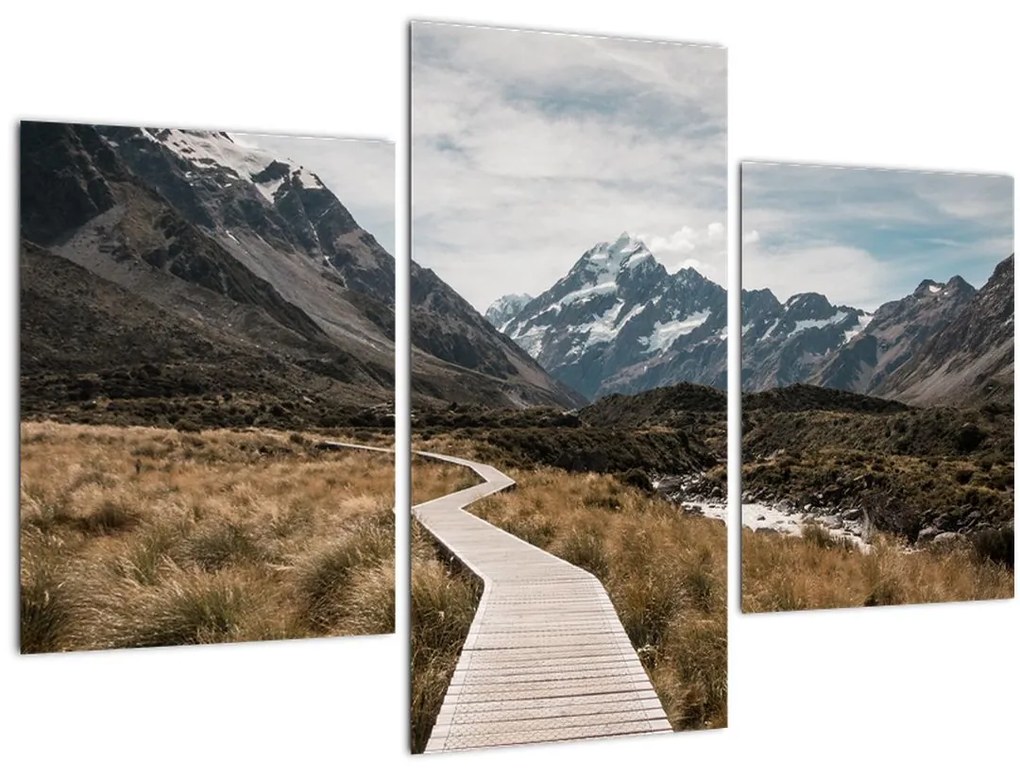 Kép - Sétány a hegységben Mt. Cook (90x60 cm)