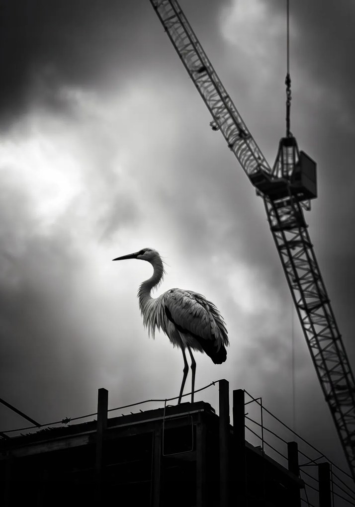 Poszter 70x100cm Magasan a horizont felett