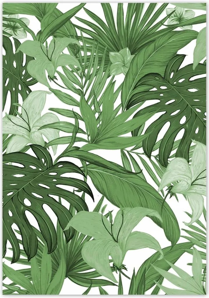 Poszterek 70x100 Monstera Modern minta