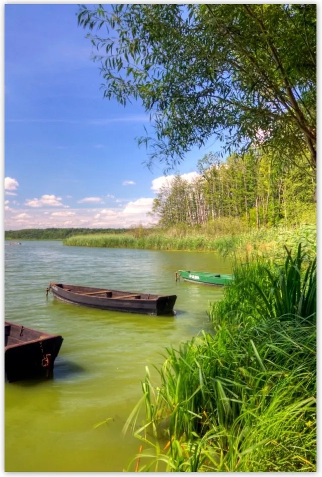 Poszterek 40x60 Tó Csónakok Tájkép