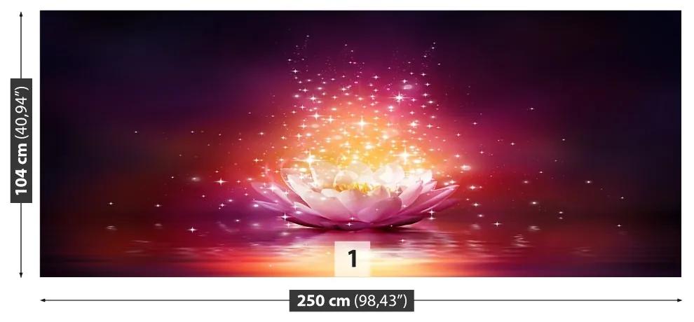 Fotótapéta Lotus csillag 104x70 cm