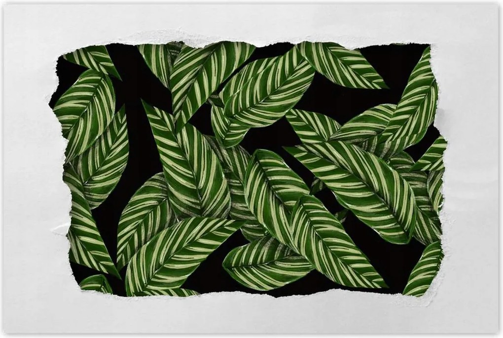 Poszter 60x40 Zöld levelek Trópusok