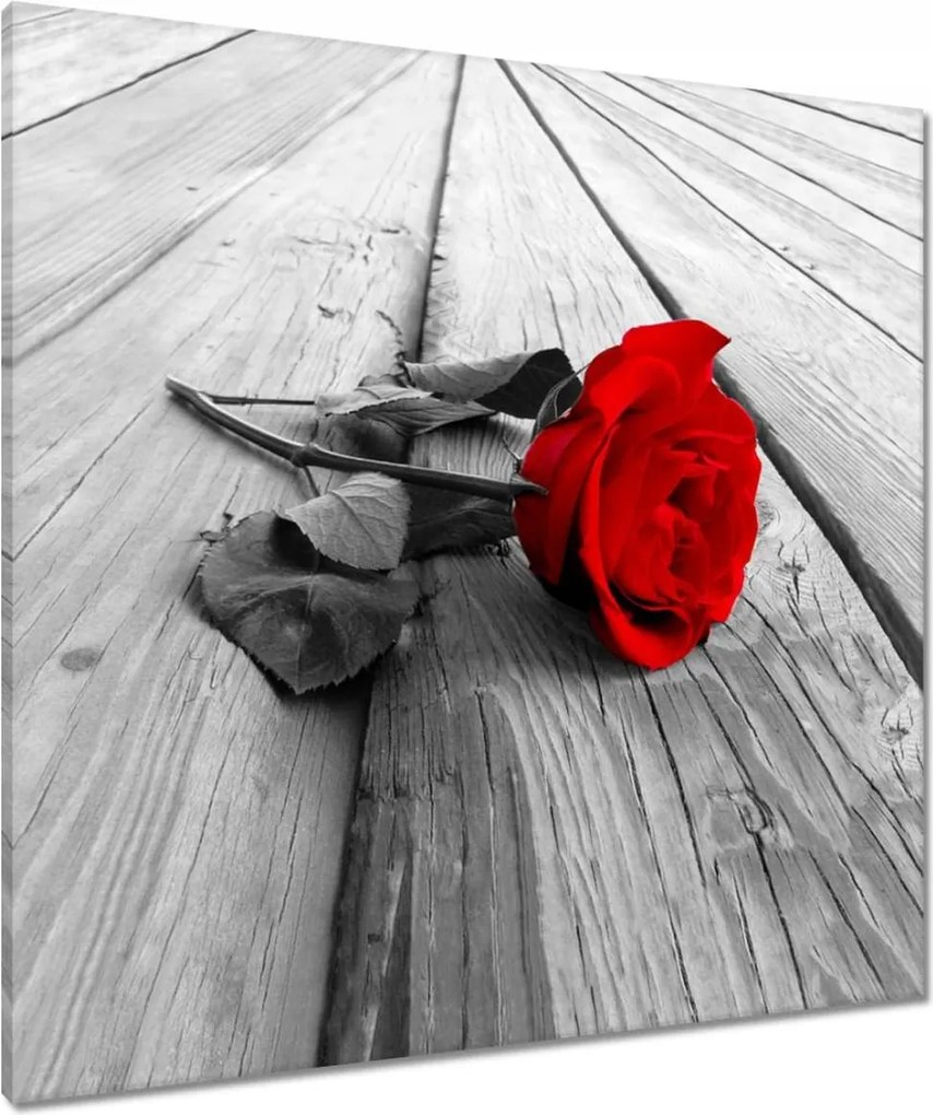 Vászonkép 80x80 Vörös rózsa a deszkákon