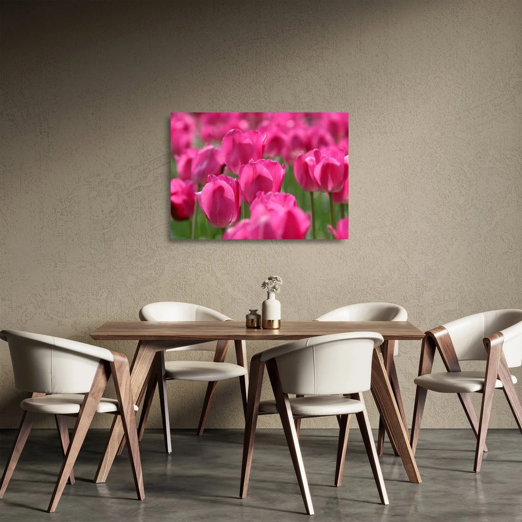 Üveg kép - Rózsaszín tulipánok (70x50 cm)
