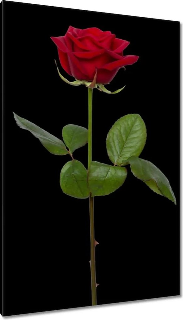 Vászonkép 80x120 Nőnap Love