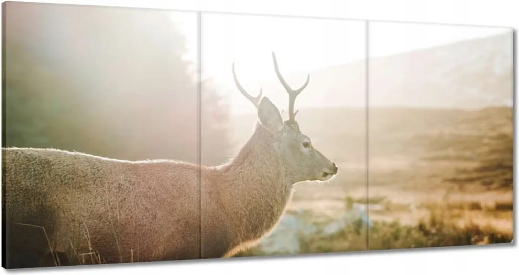Vászonkép 180x90 Szarvas felszarvazott