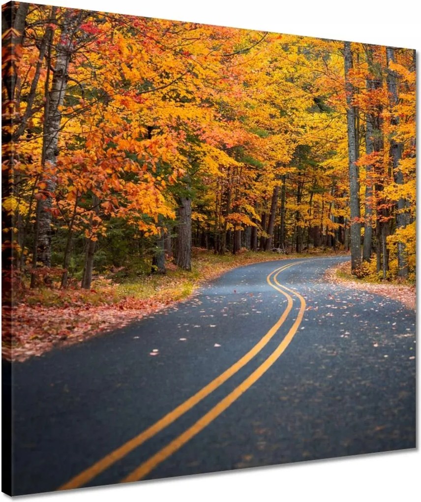 Vászonkép 40x40 Tájkép Látvány