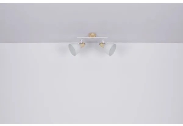 Globo 54018-2 - Spotlámpa WIHO 2xE27/40W/230V