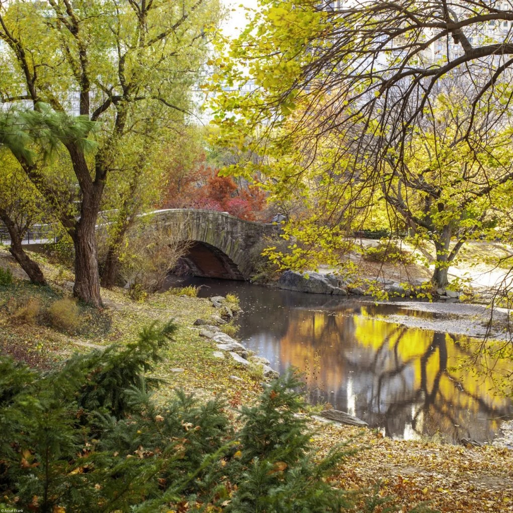 Poszter 40x40cm Gapstow híd ősszel, Assaf Frank