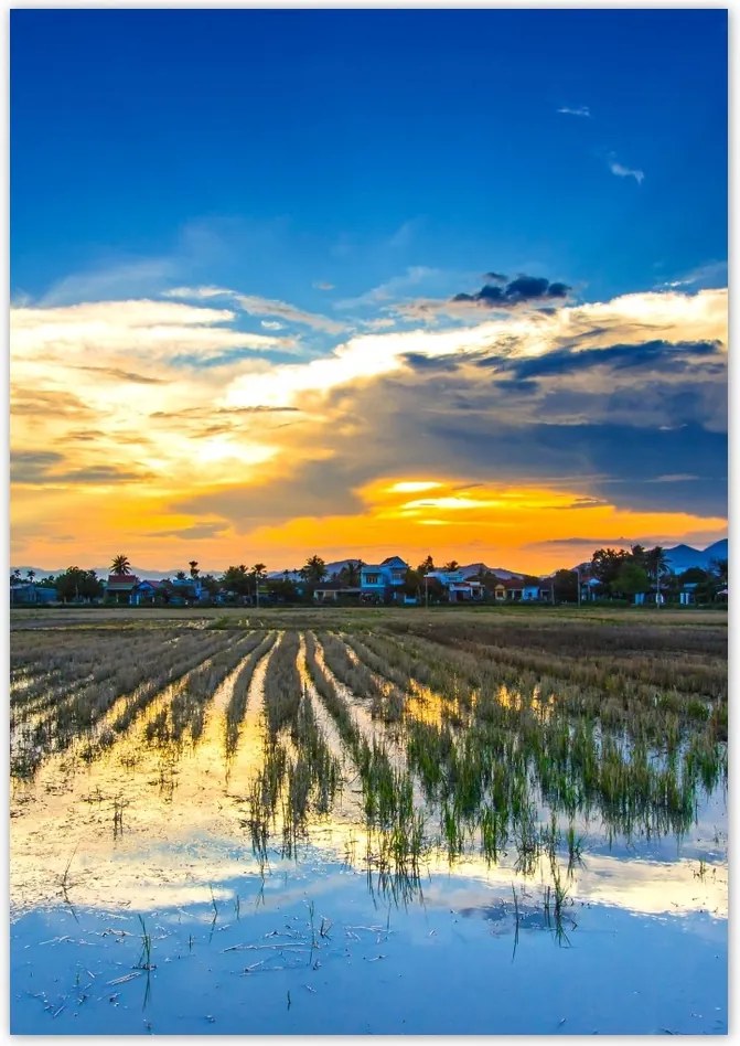 Poszterek 70x100 Kilátás Tájkép