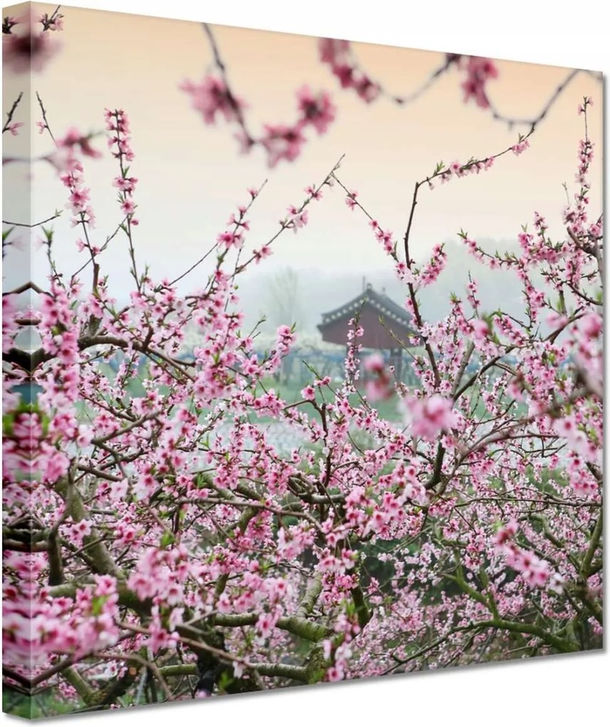 Vászonkép 60x60 Japán Orient Buddhizmus