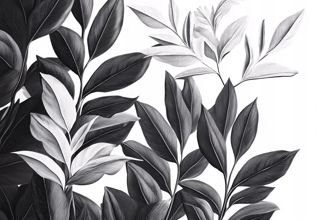 Fotótapéta flizelina Levelek fehér-fekete minimalista 150x105 +ragasztó