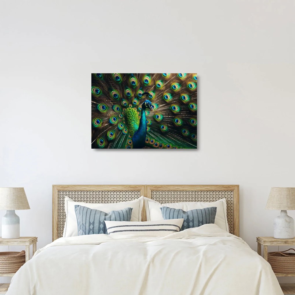 Üveg kép – Pávatoll (70x50 cm)