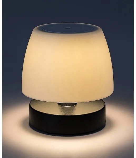 Rabalux 7040 - LED Dimmelhető asztali lámpa ODERA LED/3W/5V 2000 mAh IP44