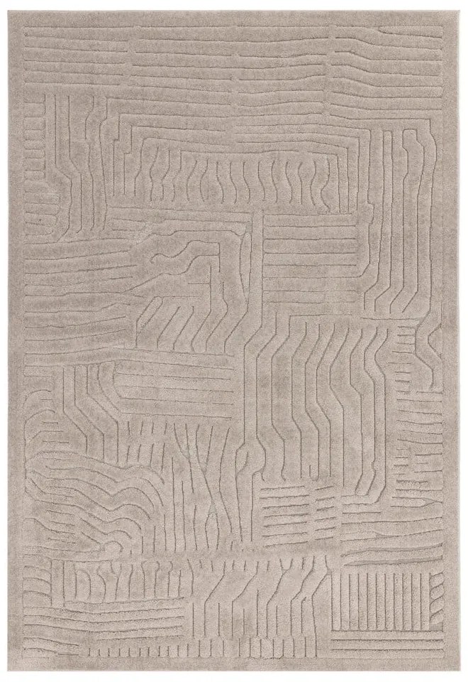 Bézs szőnyeg 200x290 cm Valley – Asiatic Carpets
