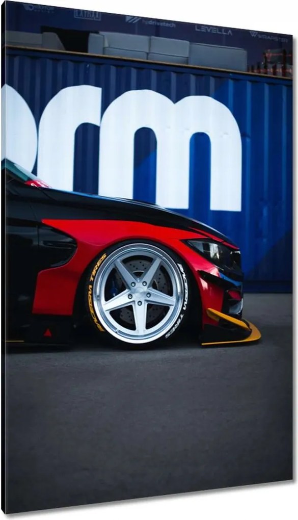 Vászonkép 80x120 Sportos csőr Autó