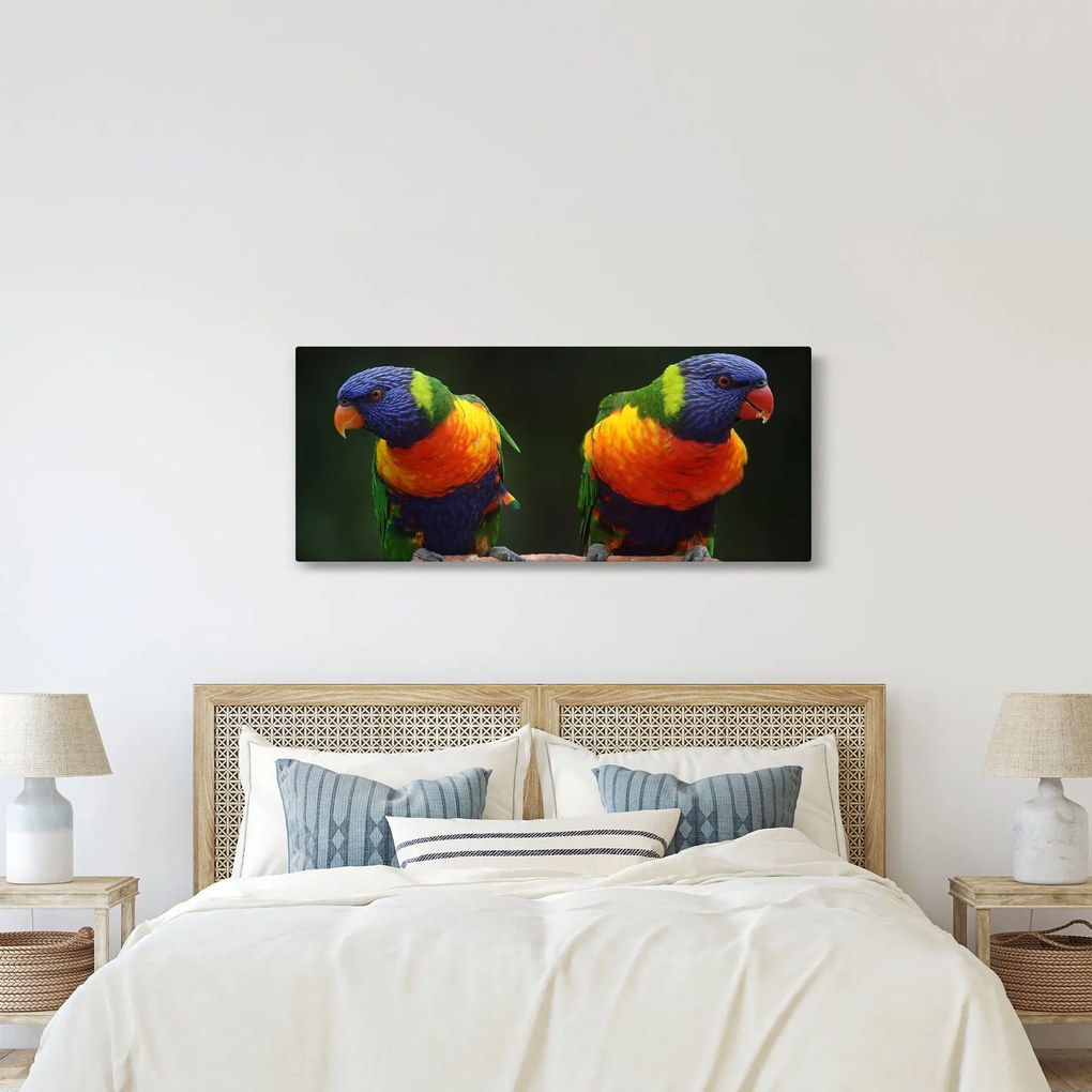 Papagájok képe (120x50 cm)