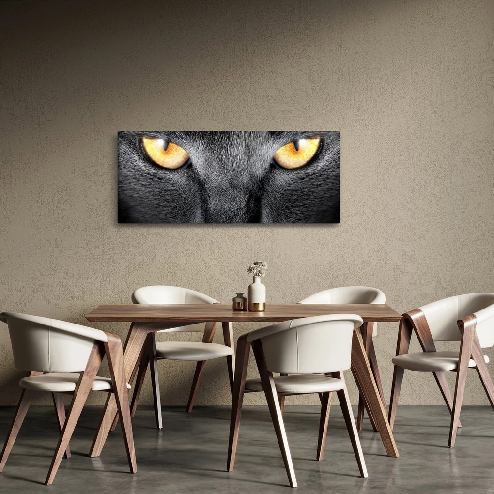 Kép - Közeli portré egy macskáról (120x50 cm)