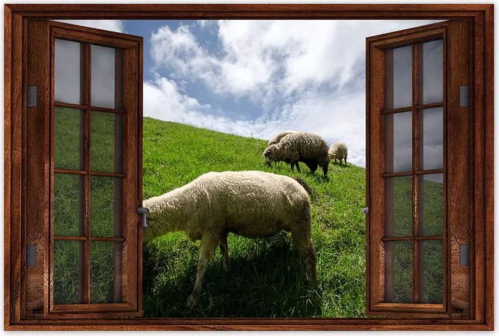 Poszterek 90x60 Bárányok a legelőn