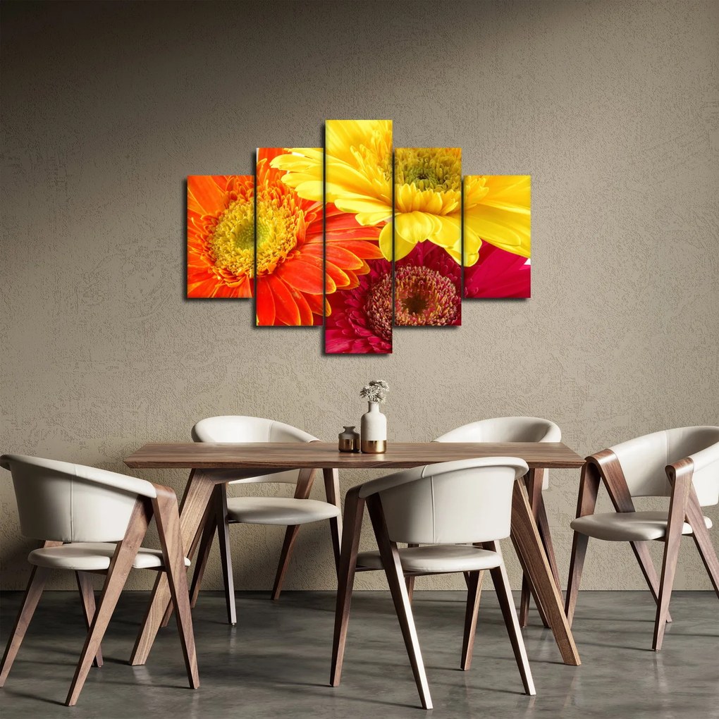 Kép - Virágok Gerbery (150x105 cm)