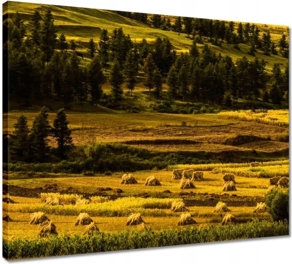 Vászonkép 50x40 Tájkép Látvány