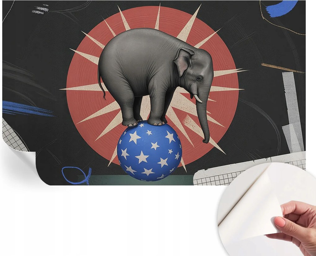 Fotótapéta Dekoratív Fali Tapéta Cirkusz Elefánt 416x254