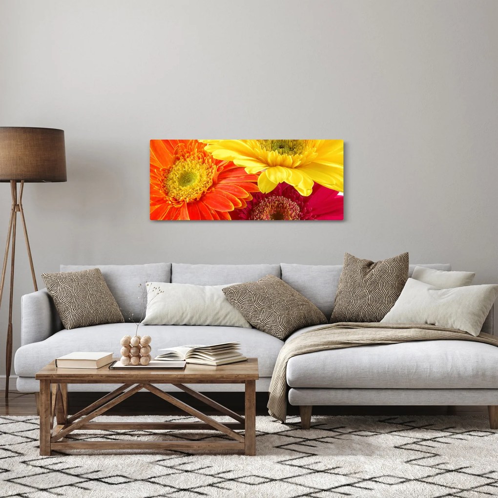 Kép - Virágok Gerbery (120x50 cm)