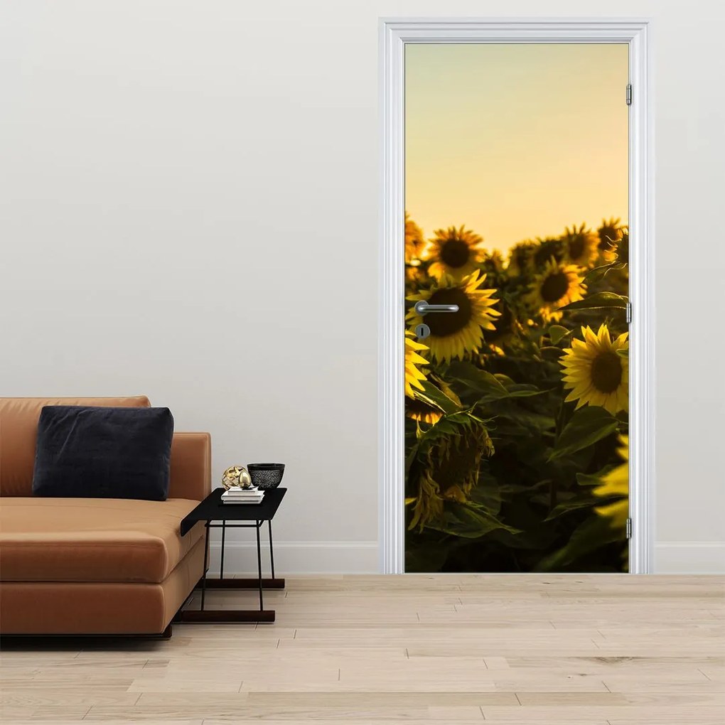 Fotótapéta ajtóra - Napraforgó mező (95x205cm)